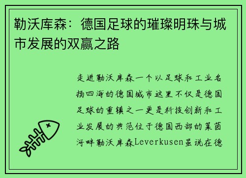 勒沃库森：德国足球的璀璨明珠与城市发展的双赢之路